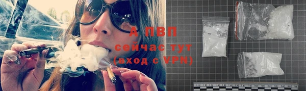 сатива Абинск