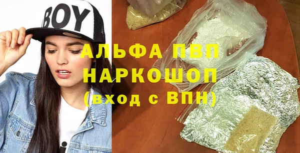 сатива Абинск