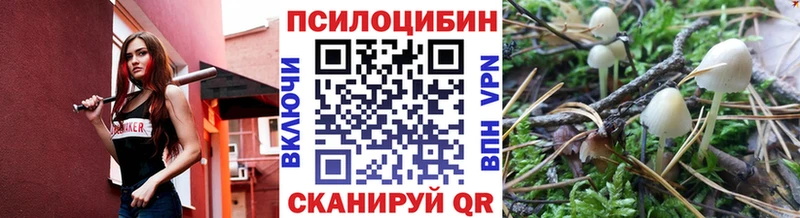 даркнет сайт  МЕГА вход  Галлюциногенные грибы Psilocybe  Усмань 